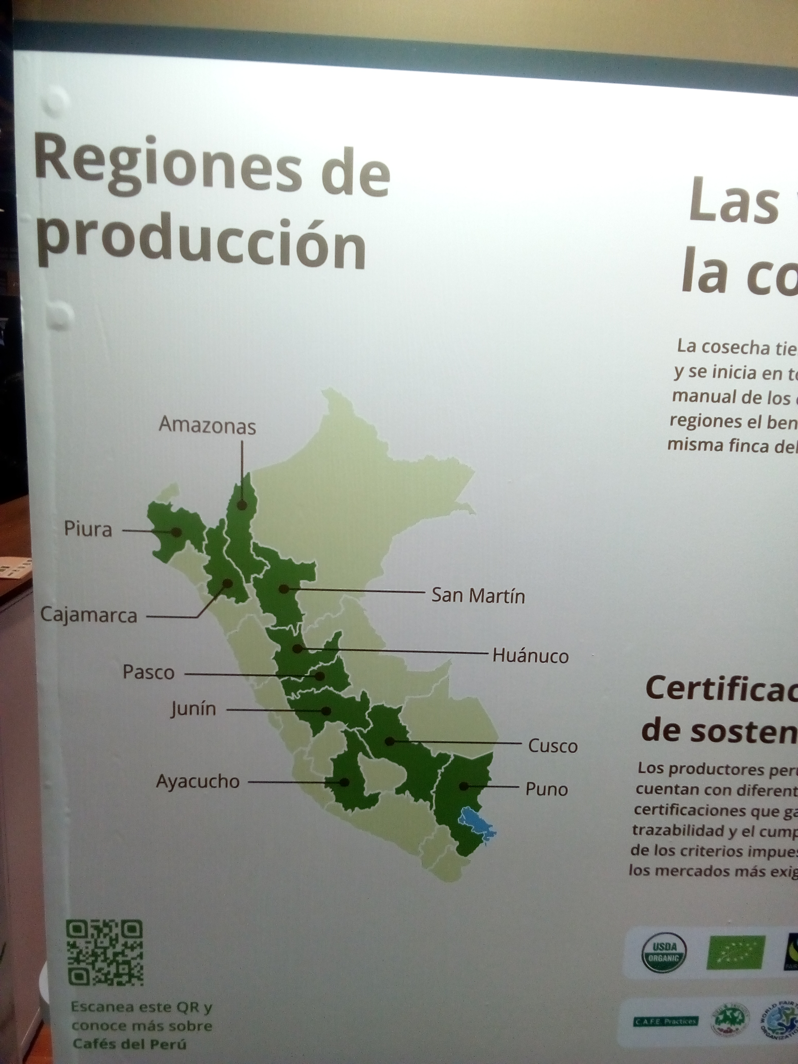 Coffe regions